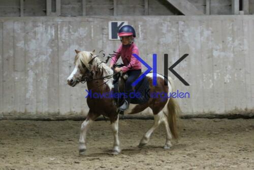 Kerguelen-equitation-1F4A4737