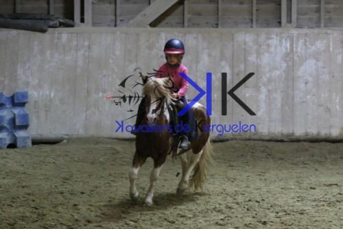 Kerguelen-equitation-1F4A4738