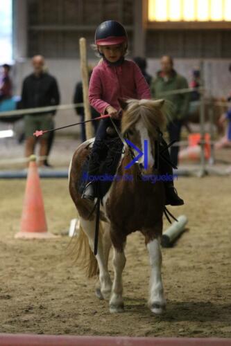 Kerguelen-equitation-1F4A4743