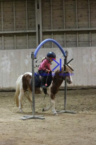 Kerguelen-equitation-1F4A4745