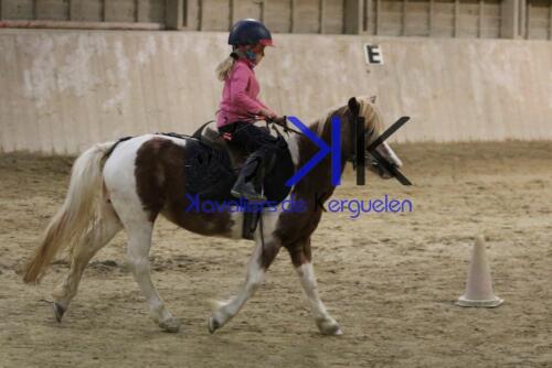 Kerguelen-equitation-1F4A4747