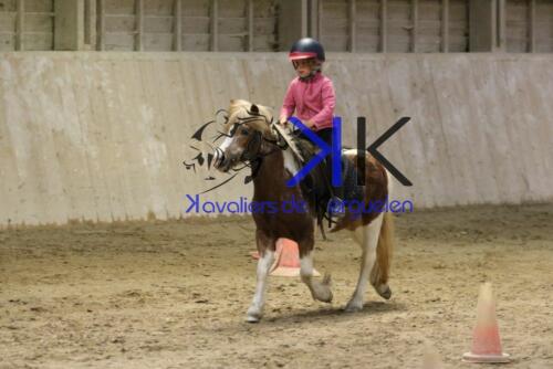 Kerguelen-equitation-1F4A4749