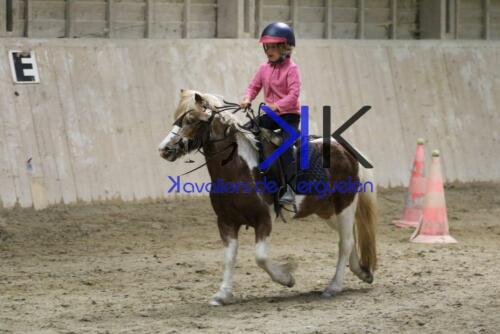 Kerguelen-equitation-1F4A4750