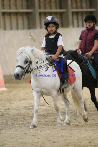 Kerguelen-equitation-1F4A4752