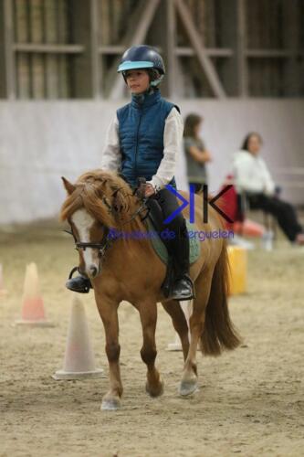 Kerguelen-equitation-1F4A4753