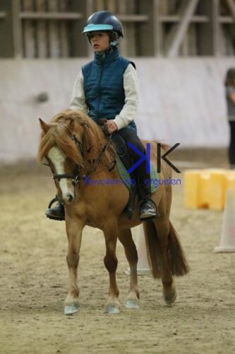 Kerguelen-equitation-1F4A4754