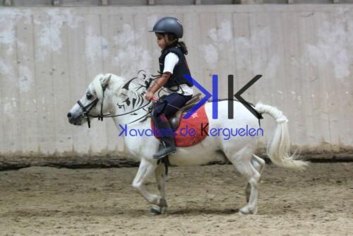 Kerguelen-equitation-1F4A4758