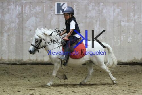 Kerguelen-equitation-1F4A4759