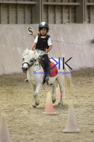 Kerguelen-equitation-1F4A4762