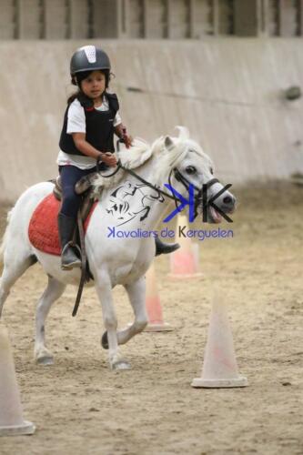 Kerguelen-equitation-1F4A4763