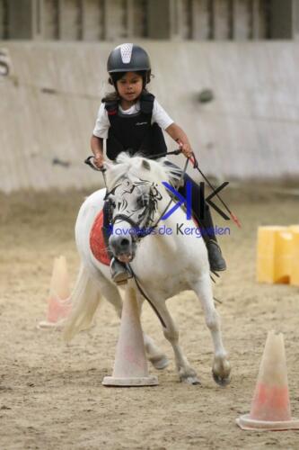 Kerguelen-equitation-1F4A4764