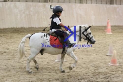 Kerguelen-equitation-1F4A4769