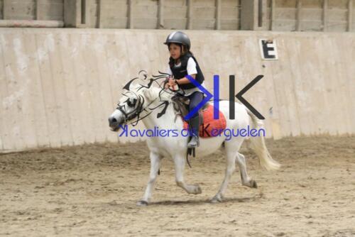 Kerguelen-equitation-1F4A4771