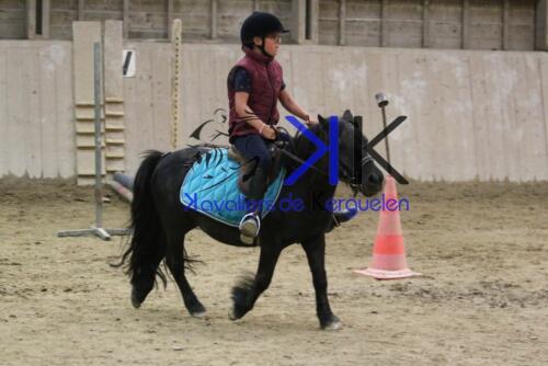 Kerguelen-equitation-1F4A4784