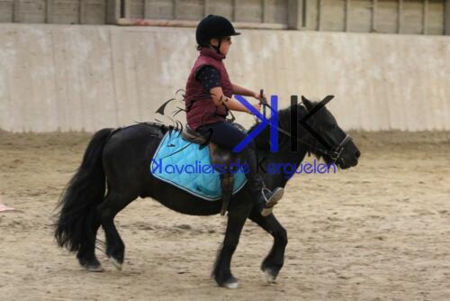 Kerguelen-equitation-1F4A4785