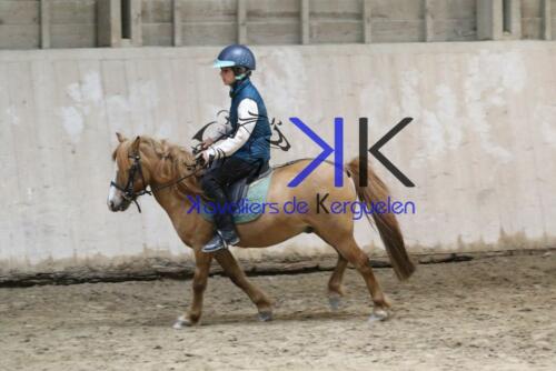 Kerguelen-equitation-1F4A4789