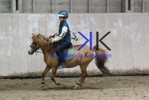 Kerguelen-equitation-1F4A4790