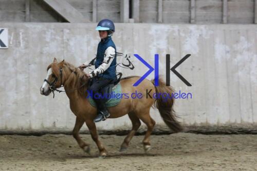 Kerguelen-equitation-1F4A4791