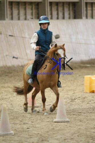 Kerguelen-equitation-1F4A4796