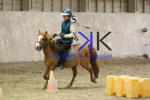 Kerguelen-equitation-1F4A4803