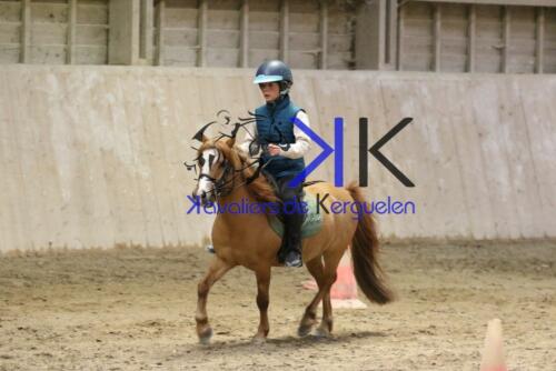 Kerguelen-equitation-1F4A4804