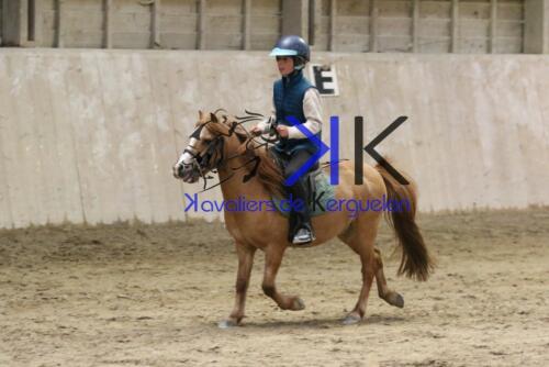 Kerguelen-equitation-1F4A4805