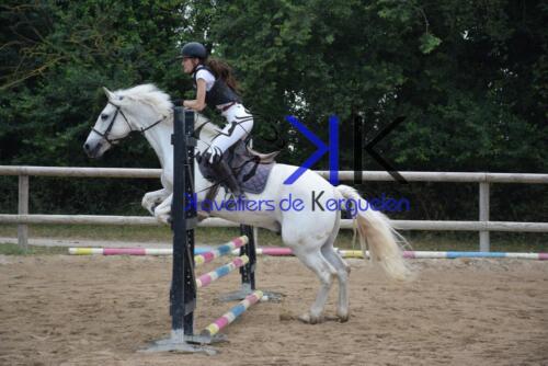Kerguelen-equitation-DSC 0138 (1) (1)