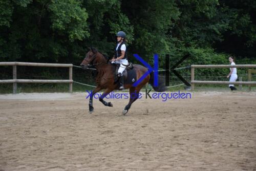 Kerguelen-equitation-DSC 0147 (1) (1)
