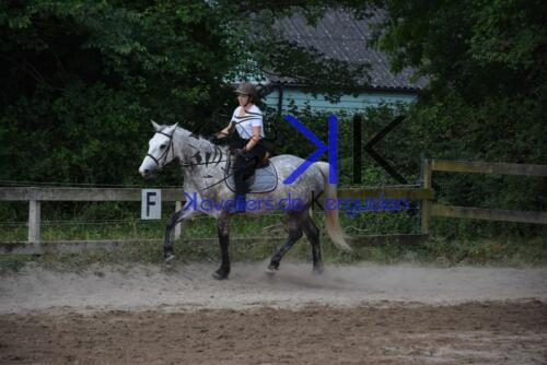 Kerguelen-equitation-DSC 0241