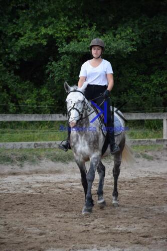 Kerguelen-equitation-DSC 0246