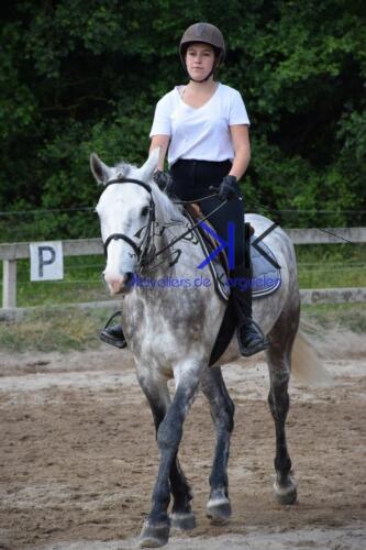 Kerguelen-equitation-DSC 0248