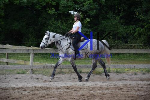 Kerguelen-equitation-DSC 0252