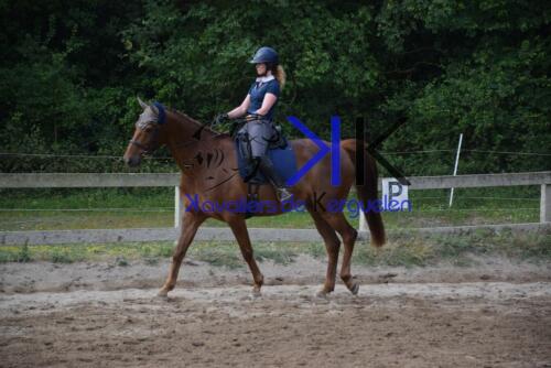 Kerguelen-equitation-DSC 0253