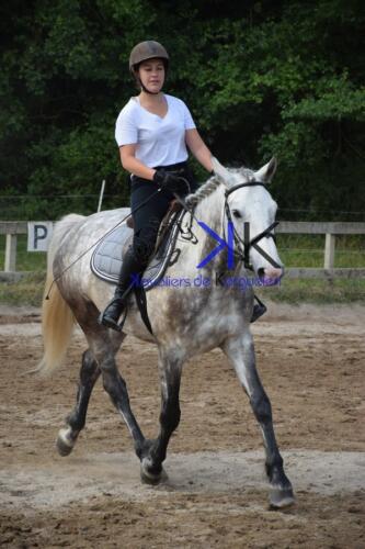 Kerguelen-equitation-DSC 0264