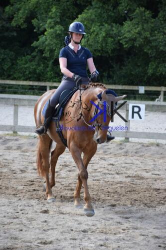 Kerguelen-equitation-DSC 0267