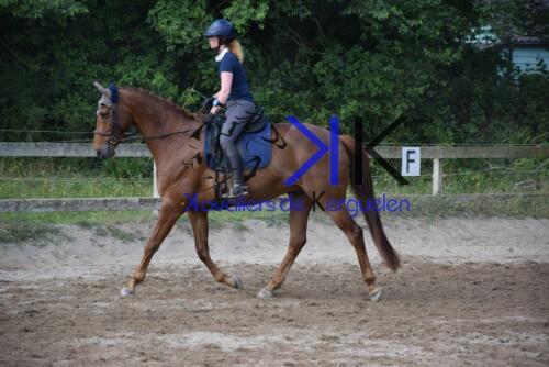 Kerguelen-equitation-DSC 0270