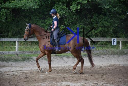 Kerguelen-equitation-DSC 0271