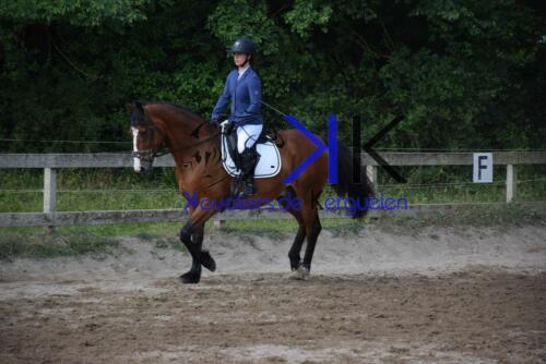 Kerguelen-equitation-DSC 0280