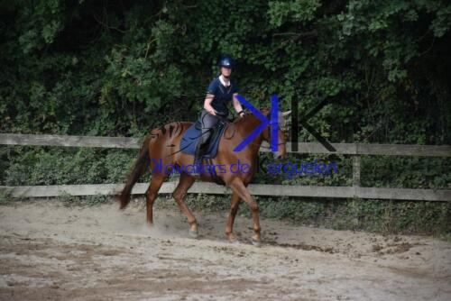 Kerguelen-equitation-DSC 0285