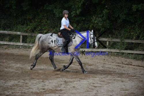 Kerguelen-equitation-DSC 0292