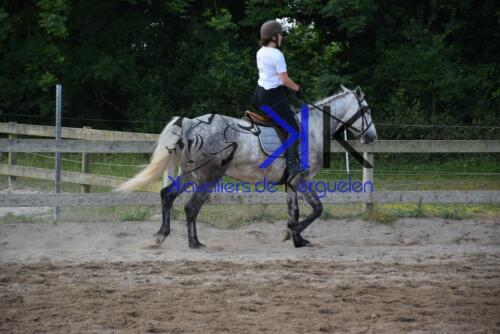 Kerguelen-equitation-DSC 0293