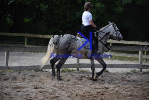 Kerguelen-equitation-DSC 0300