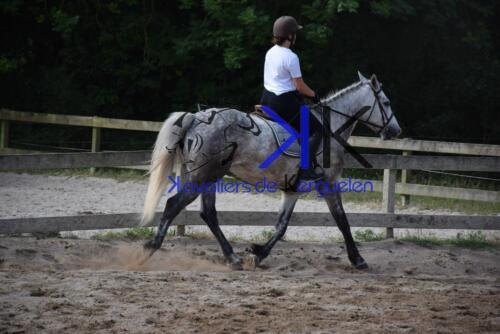 Kerguelen-equitation-DSC 0301