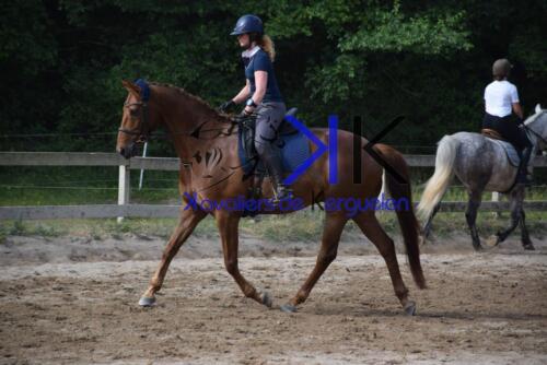 Kerguelen-equitation-DSC 0303