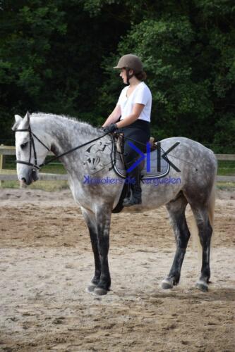 Kerguelen-equitation-DSC 0312