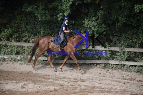 Kerguelen-equitation-DSC 0314