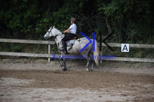 Kerguelen-equitation-DSC 0321