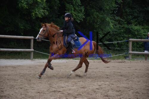 Kerguelen-equitation-DSC 0324 (1)