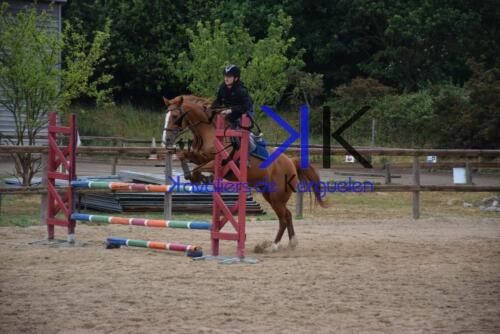 Kerguelen-equitation-DSC 0327