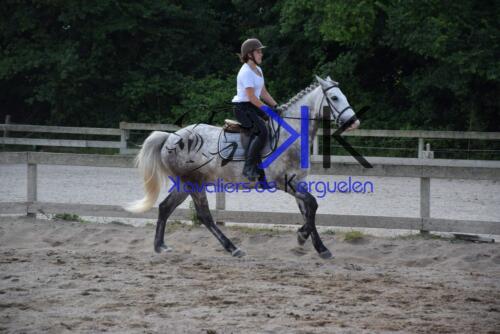 Kerguelen-equitation-DSC 0328